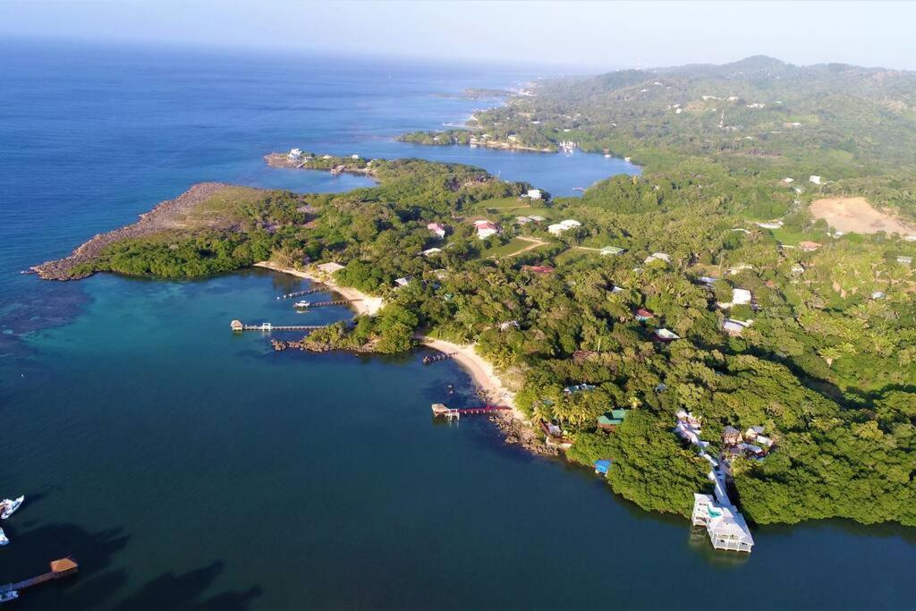 The Dock Resort Over Water Retreat West End Εξωτερικό φωτογραφία
