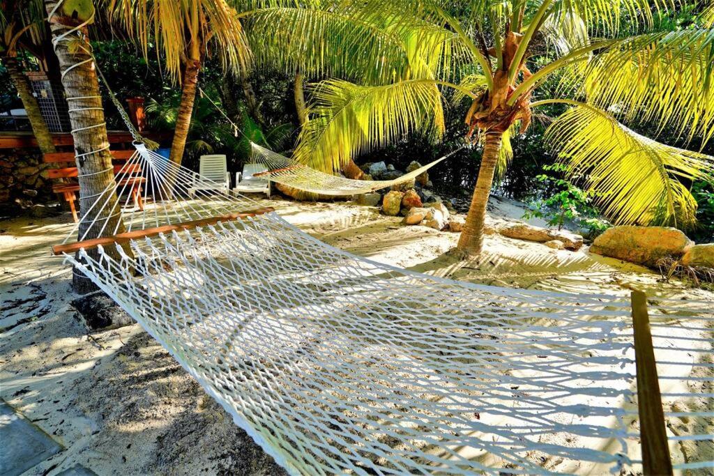 The Dock Resort Over Water Retreat West End Εξωτερικό φωτογραφία