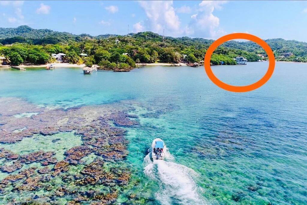 The Dock Resort Over Water Retreat West End Εξωτερικό φωτογραφία