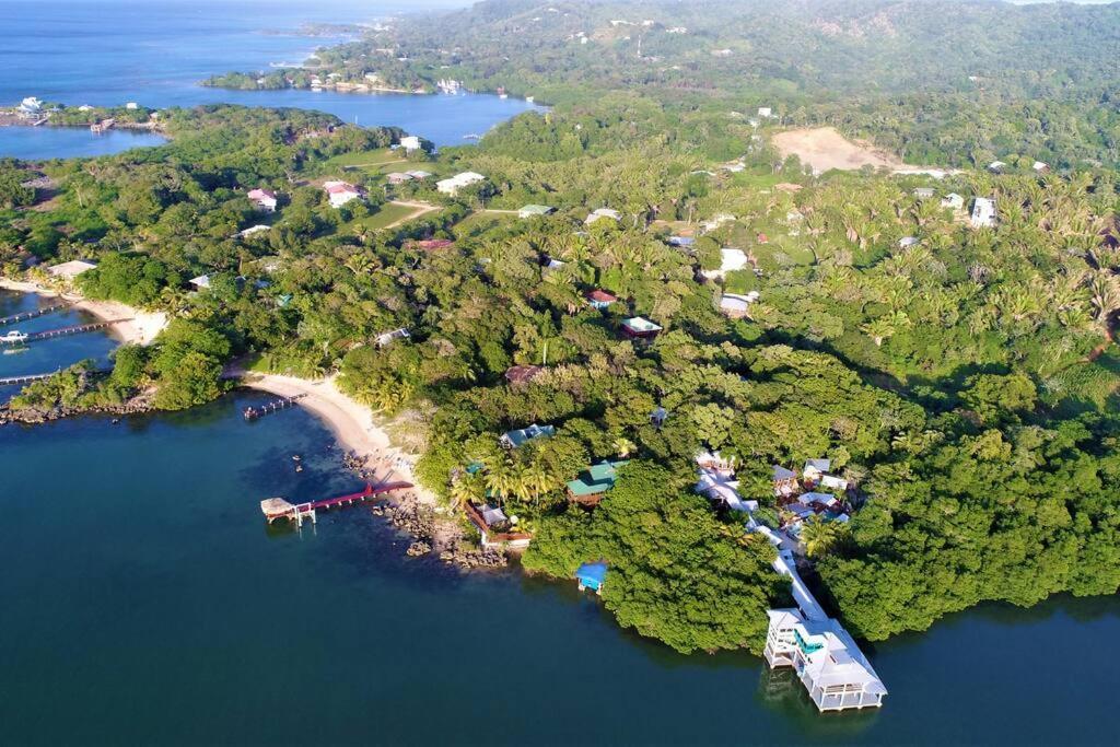 The Dock Resort Over Water Retreat West End Εξωτερικό φωτογραφία