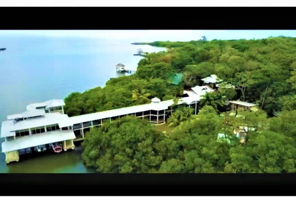 The Dock Resort Over Water Retreat West End Εξωτερικό φωτογραφία